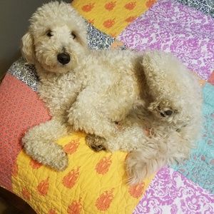 Meet your Posher, Kim